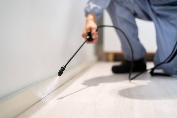 Licensed Mosquito Control service in Redmond, WA - Show Me Pest Control