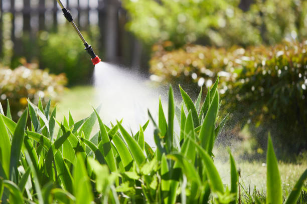 24/7 Emergency Mosquito Control experts in Redmond, WA