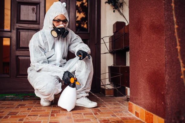 Reliable Mosquito Control contractor in Redmond, WA by Show Me Pest Control