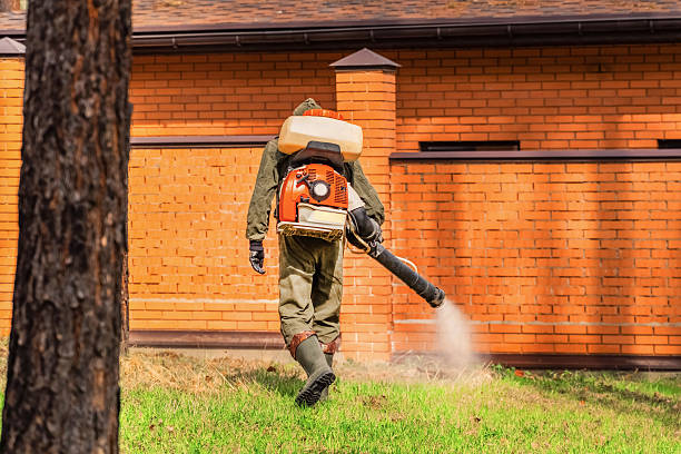 Top rated local Mosquito Control specialists in Redmond, WA